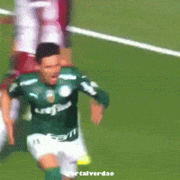 Libertadores Sep GIF