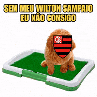 Flamengo GIF