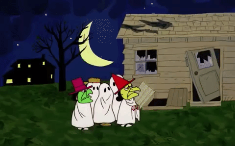 Its The Great Pumpkin Charlie Brown Bats GIF by Halloween