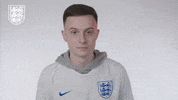 Three Lions Football GIF by England
