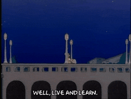 Season 1 Episode 3 GIF by The Simpsons