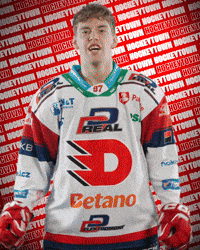 Hockey Czech GIF by HC Dynamo Pardubice