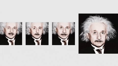 lauracamila51e7 giphyupload GIF