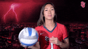 St Johns Ball Toss GIF by St. John's Red Storm
