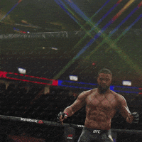 let's go fight GIF by EA SPORTS UFC