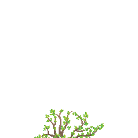 Good Morning Wow Sticker by Pride Group