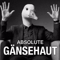 Absolute GIF