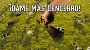 College Football Ncaa GIF by Sealed With A GIF