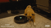 The Guy Hbo GIF by High Maintenance
