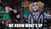 Whats Up Comedy GIF by Dead Meat James