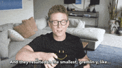youtube underwear GIF by tyler oakley