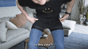 youtube underwear GIF by tyler oakley