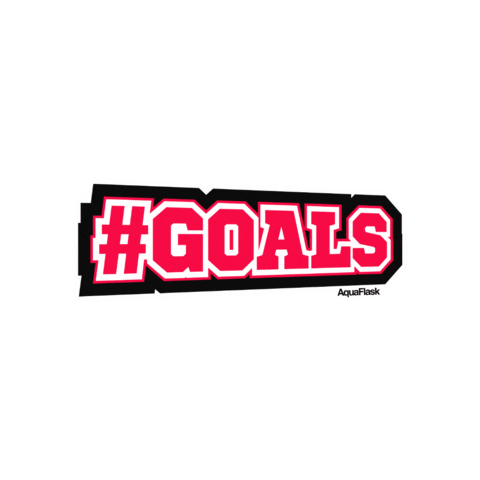 Goals Sticker by AquaFlask
