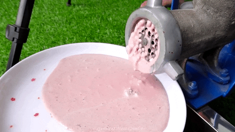 ExperimenMeatGrinder giphyupload ice cream meat experiment GIF