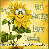 Happy Flower GIF by The Seed of Life Foundation