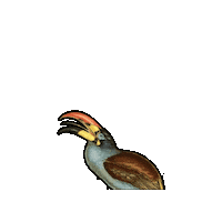 Bird Sticker by The Wild Curiosity