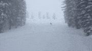 mary toft skiing GIF by Elevated Locals