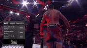 Mixed Martial Arts Sport GIF by UFC