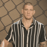 Sport Waving GIF by UFC