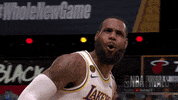 Lebron James Sport GIF by NBA