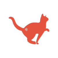 Cat Kitty Sticker by Movora