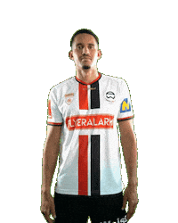 Schmidt Admira Sticker by KSV1919