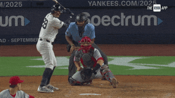 Austin Yankees GIF by YES Network