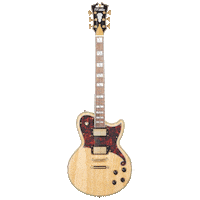 Guitar Dangelico Sticker by Tarara