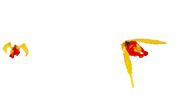 Ken Jeong Animation Sticker by NETFLIX