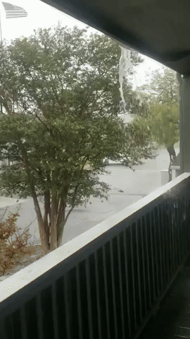 Tropical Storm Brings Soaking Rain to Corpus Christi