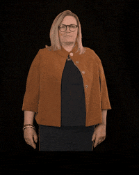 fdpfraktionlsa fdplsa fdpfraktionlsa ktarricone tarricone GIF