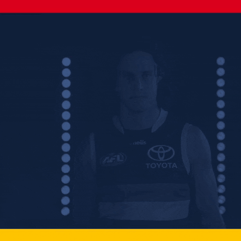 Afl GIF by Adelaide Crows