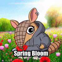 GIF by Chillo Dillo