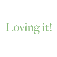 Loving It Love Sticker by thetinselrack