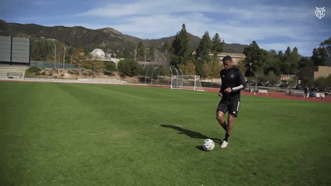 Soccer GIF by NYCFC
