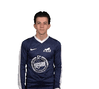 Svr Sticker by SV Reeshof