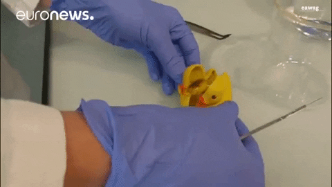 rubber duck toy GIF by euronews