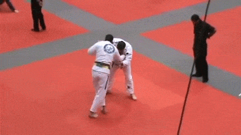 bjj GIF