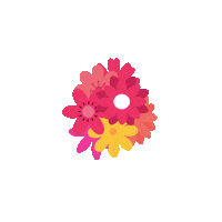 spbeauty sp beauty Sticker