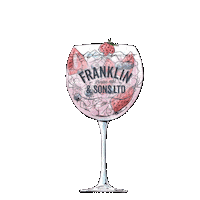 celebrate gin and tonic Sticker by All Shook Up