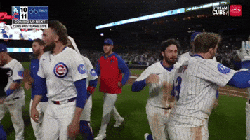 Chicago Cubs Hug GIF by MLB