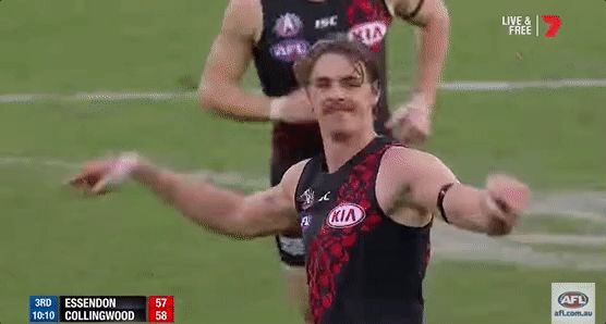 afl don GIF by Essendon FC