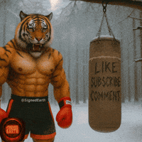 Intimidating No Mercy GIF