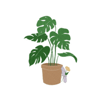 SoulArtbyHumus plants zoom crystals monstera plant Sticker