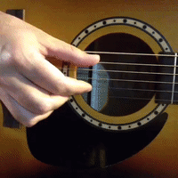 GIF by Brittlestar