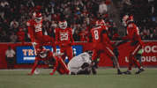 Cincinnati Football GIF by Cincinnati Bearcats