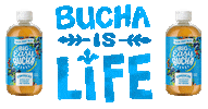 new orleans nola Sticker by Big Easy Bucha
