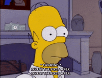 homer simpson GIF