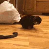 GIF by Demic