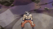 Dragon Ball Ultra Instinct GIF by Toei Animation